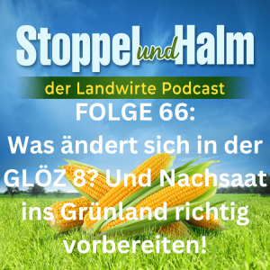 Folge 66: Nachsaat im Grünland