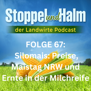 Podcast 67: Alles zu Silomais - Maispreise, Maistag und Ernte in der Milchreife