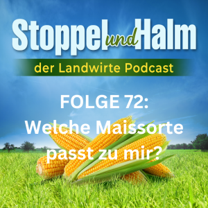 Folge 72: Welche Maissorte passt zu mir?