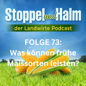 Folge 73: Welche frühsaatverträglichen Maissorten gibt es?