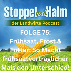 Folge 75: Frühsaat, Frost & Futter: So Macht Noriatis-Mais Den Unterschied!