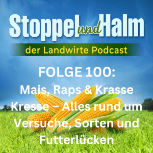 100. Folge: Mais, Raps & Krasse Kresse – Alles rund um Versuche, Sorten und Futterlücken