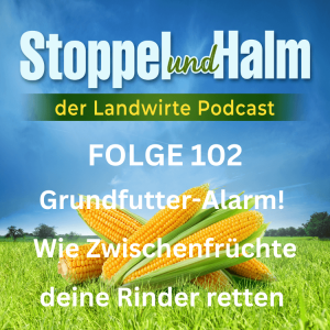 Folge 102: Grundfutter-Alarm! Wie Zwischenfrüchte deine Rinder retten – schnelle Lösungen für akute Futterknappheit