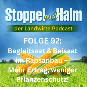 Folge 92: Begleitsaat & Beisaat im Rapsanbau – Mehr Ertrag, weniger Pflanzenschutz!