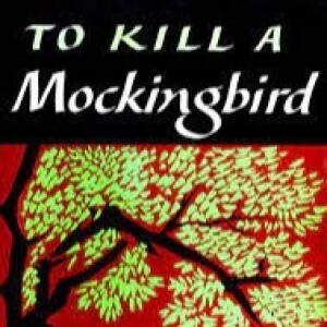 To kill a mockingbird chapter 2