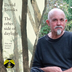 The Other Side of Daylight: An Interview with David Brooks