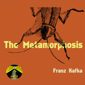 Kafka's Metamorphosis: The Complex, The Ambiguous and the Inexplicable