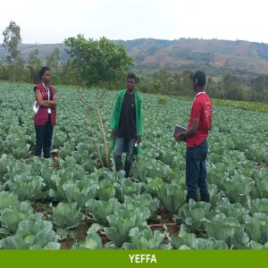 AKAMARO KO GUKORA NO KUBIKA AMAKURU AKORESHWA MU BUHINZI