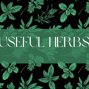 Sept 11, 2023 -Herbs