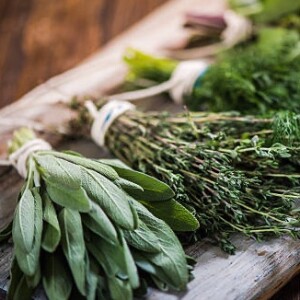 Herbs - June 27, 2023