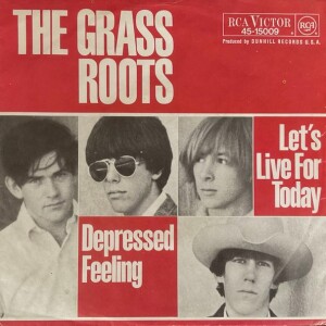 The Grass Roots-Let's Live For Today Song Review