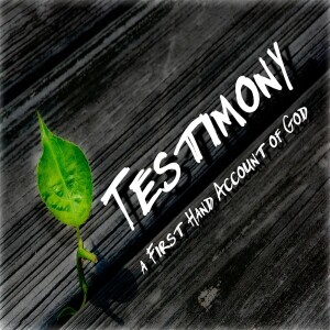 Testimony - with Denver