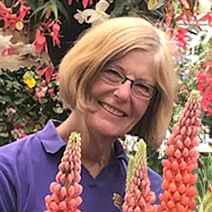 Ep. 10 - Jan Gulley of Gulley Greenhouse