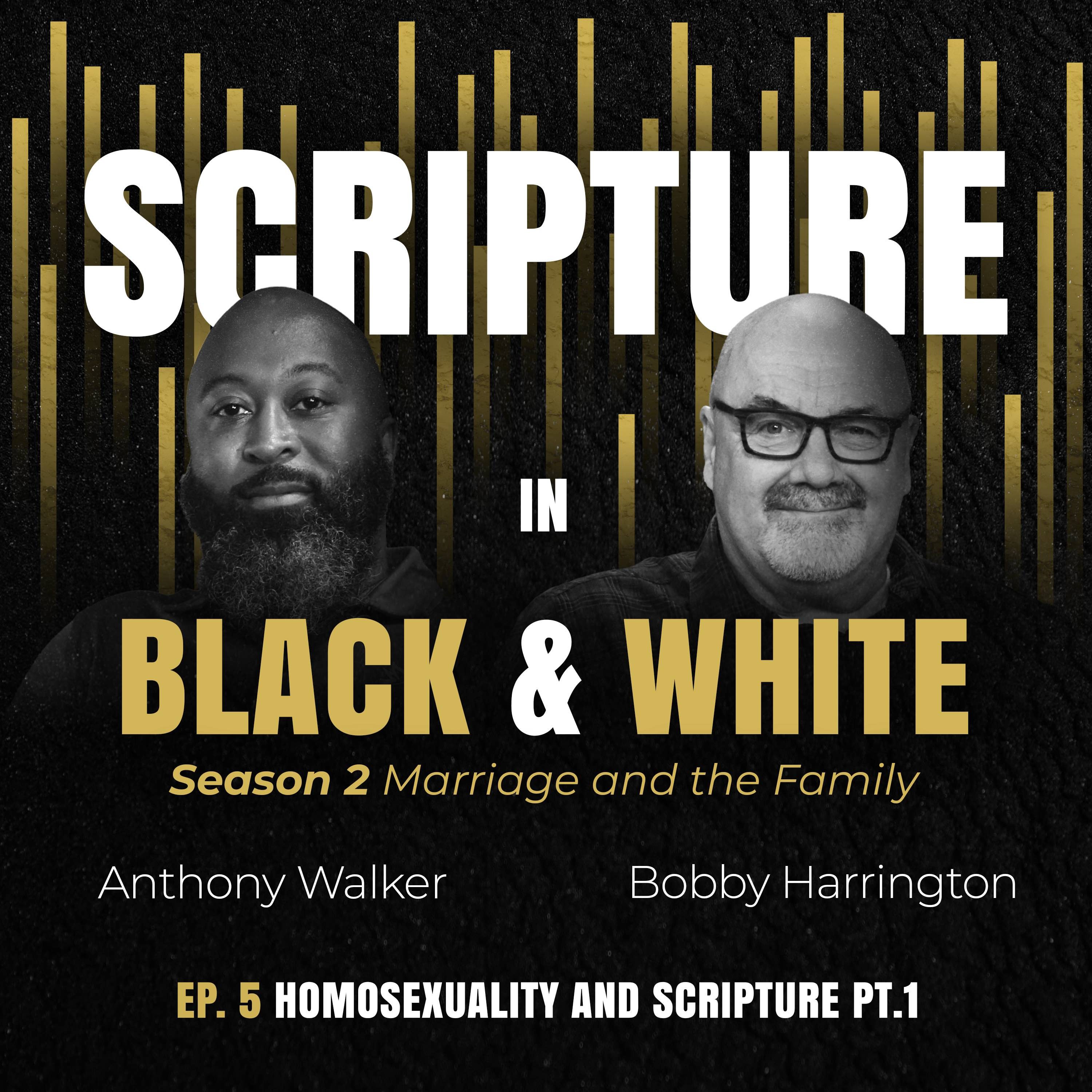 Scripture in Black and White