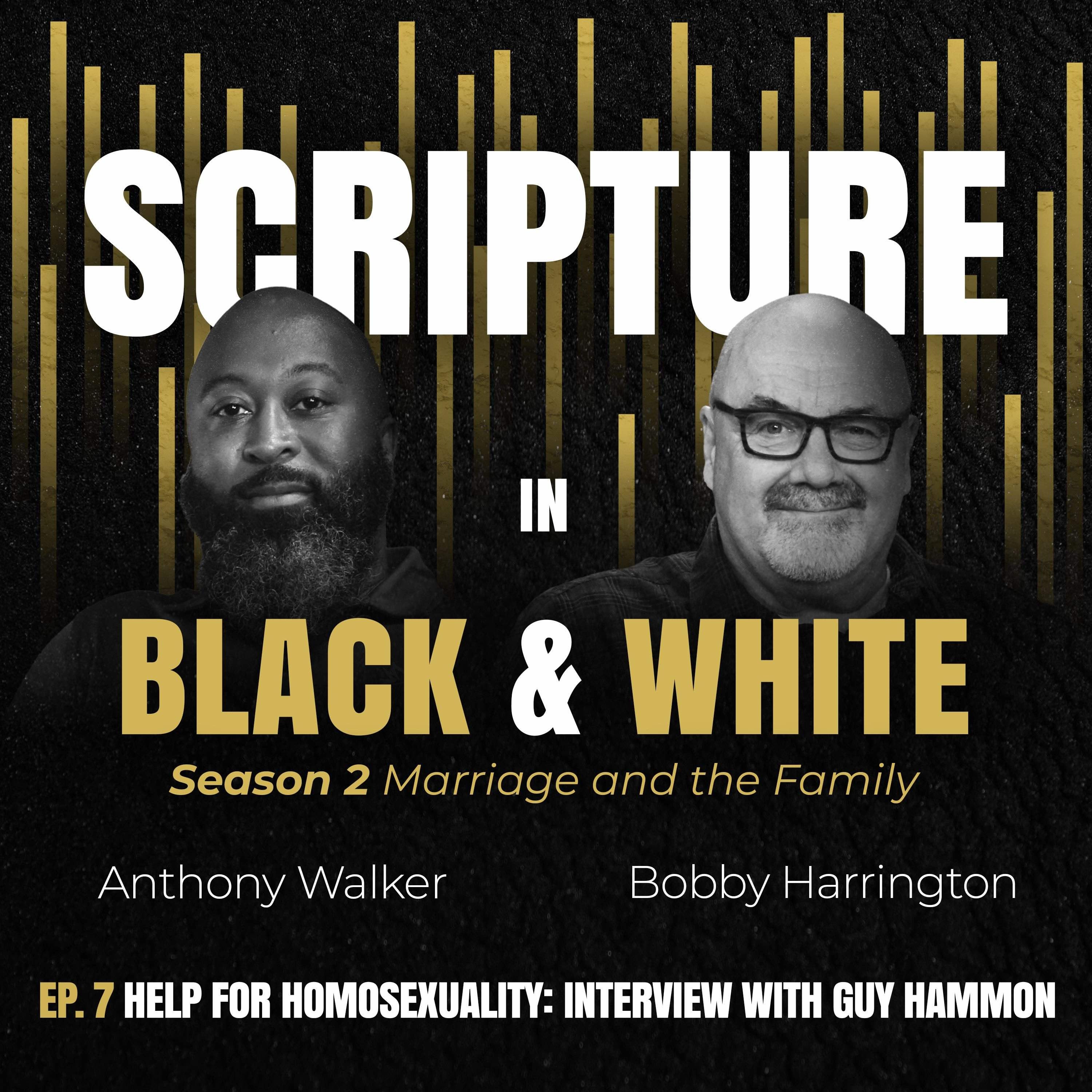 S2 Ep. 7 Homosexuality and Scripture Pt. 3. (feat. Guy Hammond) | Scripture  in Black and White