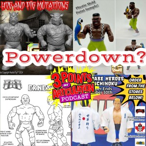 Powerdown? News from around the wrestling figure world as we see new figures revealed!