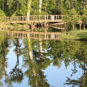He is the Image - Colossians 1:15-16 (ESV)