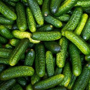 Crunchy Delight Exploring the Health Benefits and Simple Recipes of Gherkins