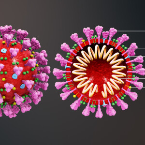 Lessons So Far from Corona Virus