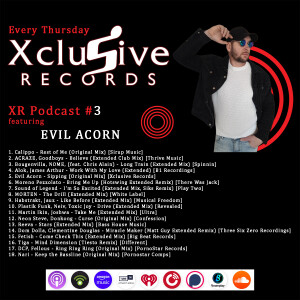 XR Podcast #3 featuring Evil Acorn