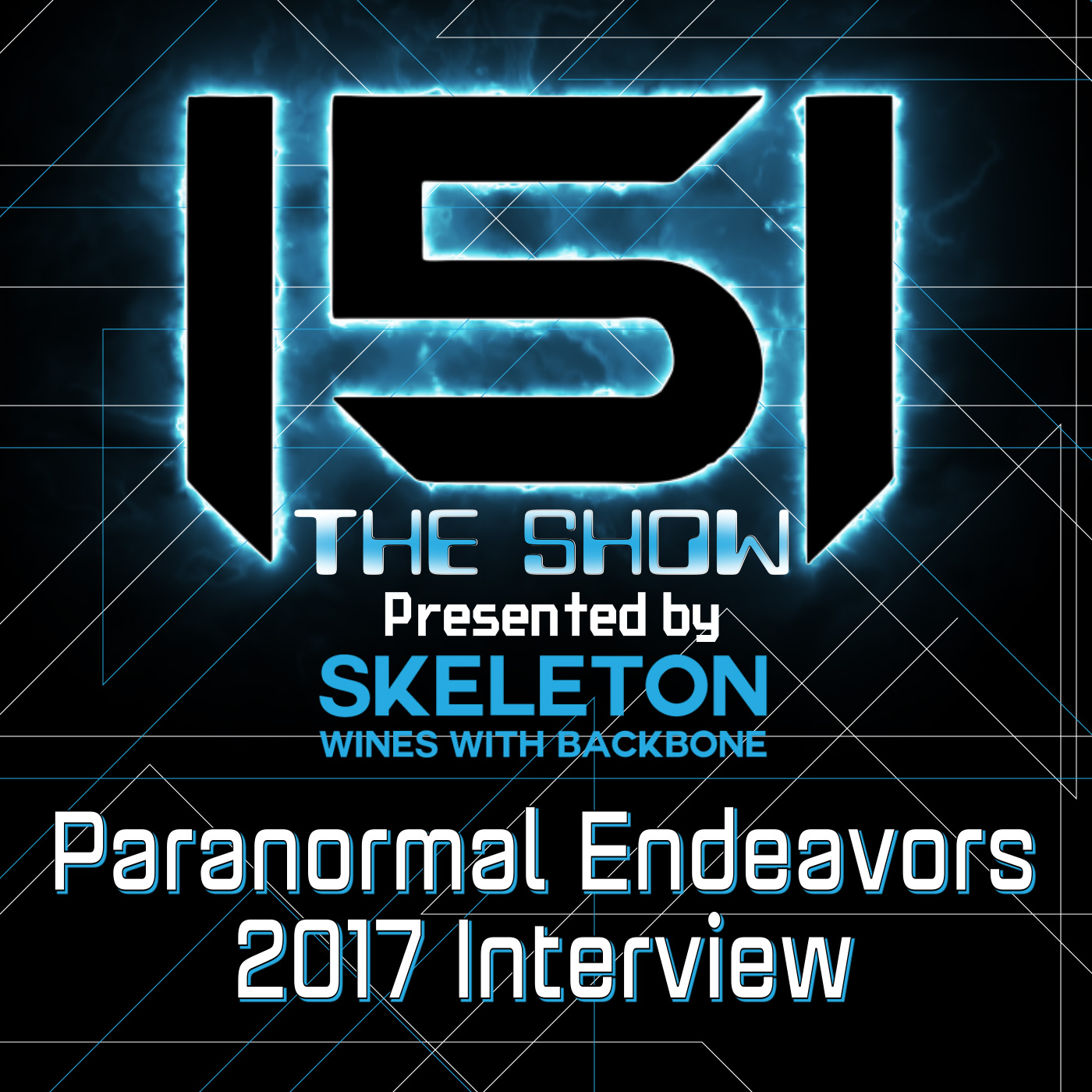 Paranormal Endeavors Interview 2017