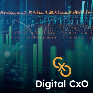 Digital CxO Podcast, Ep. 12 - Digital or Bust