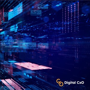 Digital CxO Podcast Ep. 18 - Digital Transformation Paradox