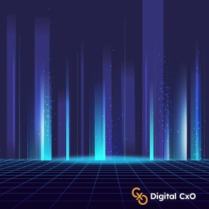 Digital CxO Podcast Ep. 29 - Training AI