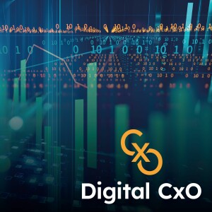 Digital CxO Podcast Ep. 27 - Culture Marketing
