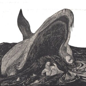 Read Me To Sleep: How The Whale Got His Throat