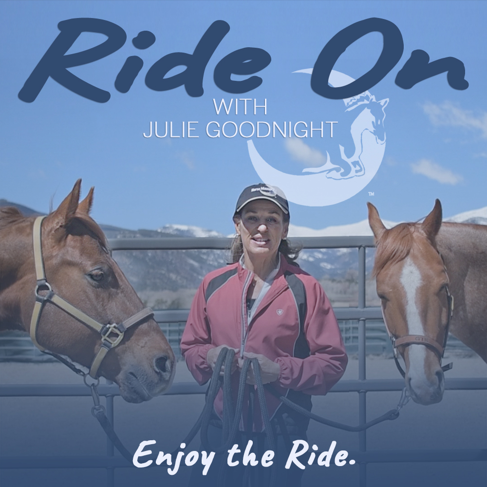 Is Your Horse A Good Citizen?
