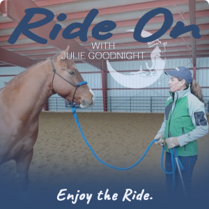 Unclear is Unkind: Approach Training from the Horse’s Perspective