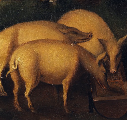 Flannery O’Connor and the Warthog from Hell with Dr. Kent Lasnoski
