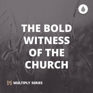 10-8-23 | THE BOLD WITNESS OF THE CHURCH