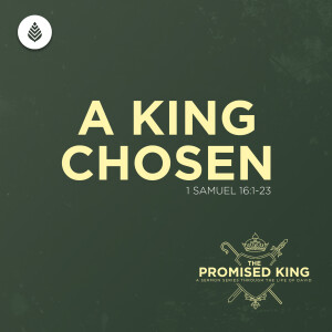 11-10-24 | A King Chosen