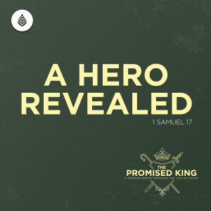 11-17-24 | A Hero Revealed