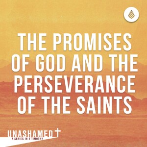 9-17-23 | THE PROMISES OF GOD AND THE PERSEVERANCE OF THE SAINTS