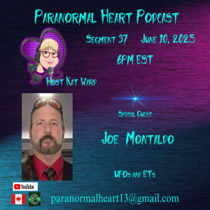 Segment 37 Joe Montaldo: UFOs and ETs