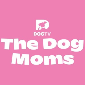 Coming Soon: The Dog Moms