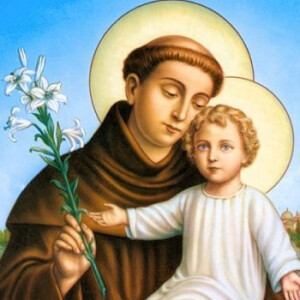 Saint Anthony of Padua - June 13