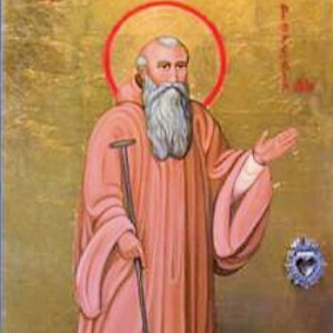 Saint Porcarius of Lérins - August 12