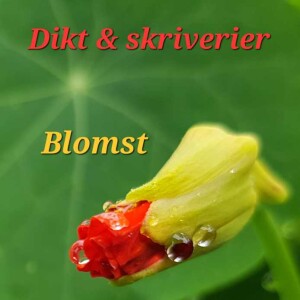 Dikt: Blomst