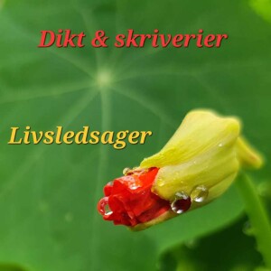 Poesi: Livsledsager