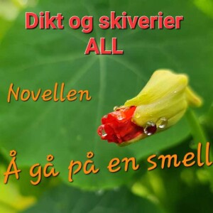 Novellen: Å gå på en smell