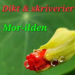 Mor-ilden