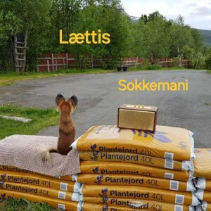 Lættis: Sokkemani