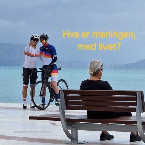 Hva er meningen med livet?