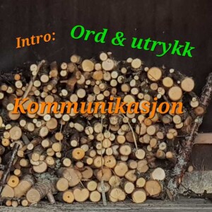 Intro: Ord & utrykk