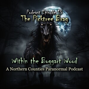 Episode 13. The Picktree Brag, 19th century South Shields ghost stories, The Pickled Parson and the number ’13’