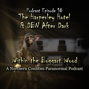 Episode 18. The Curious Case of the Harperley Hotel and DBN After Dark